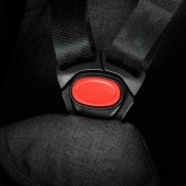 bebeshko-koshche-za-kola-zizito-regina (10)